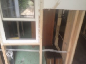 photo (20)